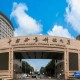 10所新大学来了,未来科技大学有哪些？