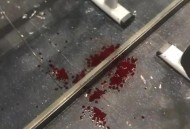 健身房教练被掌掴,军训教练可以打你手吗？