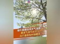 北京湿度超过深圳,北京湿度太低