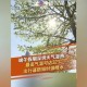 北京湿度超过深圳,北京湿度太低