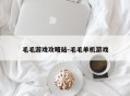 毛毛游戏攻略站-毛毛单机游戏