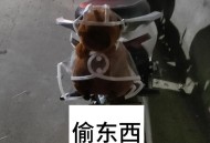 偷车后骑10小时逃跑,慌不择路！保定一偷车贼逃跑途中“偶遇”民警, 你怎么看？