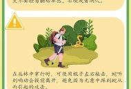 放生毒蛇有人被咬伤,放生毒蛇有人被咬伤怎么办
