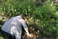 挪用200万扶贫资金,村委会挪用扶贫专项资金用于村道路建设应如何定性？