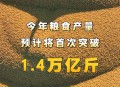 人均粮食占有量1000斤 ,人均粮食占有量1000斤以上