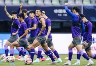 中国球迷遇袭致重伤,津媒报道一权健球迷因扰乱球场秩序，殴打民警致使其肋骨受伤被判6个月，你怎么看？