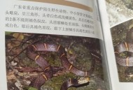 广东一小区蛇群泛滥,广东蛇多吗？