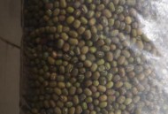 幼儿坐超市绿豆中玩,超市买的绿豆能发芽吗？