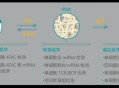 博奥软件教程,博奥软件自学教程