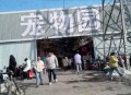 衡阳一停狗位走红,请问衡阳哪里有宠物狗批发市场？