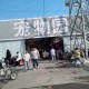 衡阳一停狗位走红,请问衡阳哪里有宠物狗批发市场？