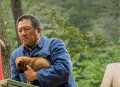 免费打工20年救母亲,打工仔救了孩子的命电视剧叫什么