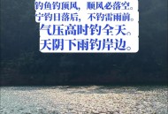 保护区里的疯狂垂钓,省级自然保护区让钓鱼吗？