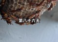 上万蜜蜂进家里筑巢 ,蜜蜂进家里筑巢好吗