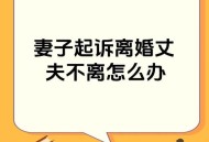 丈夫回应骗保指责,如何看待对丈夫骗保，妻子以为丈夫离世带一双子女自杀？
