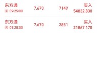 东方通被罚2.29亿元,东方通是干嘛的啊？