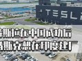 特斯拉进军印度,特斯拉是印度裔吗？