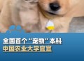 首个宠物本科专业,与宠物相关的专业一般是什么大学？就业怎么样？