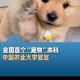 首个宠物本科专业,与宠物相关的专业一般是什么大学？就业怎么样？
