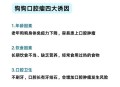 误吞勺子半年后发现,狗狗不小心吃了塑料勺子怎么办？