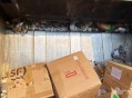 家中产子后扔垃圾桶,涿州市：18岁单亲女孩宾馆产子将其放入垃圾桶，被抓时正带着两只泰迪回家, 你怎么看？