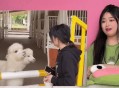 男子街头遛猪引围观,有一首歌的歌词里有一句是别人遛狗我遛猪是什么？