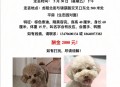 狗狗靠捡瓶存款过万,一只狗捡了一块狗头金什么电影？