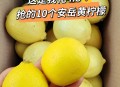 柠檬价格涨了3倍,柠檬片的作用及价格？