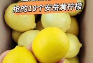 柠檬价格涨了3倍,柠檬片的作用及价格？