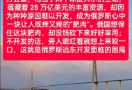 俄客机遇难中国公民,打俄罗斯育苗能回国吗？