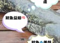 放生2.5万斤外来鲇鱼,请问.一条纯白色,八条须子,类似鲶鱼.是什么鱼?是在水库发现的？