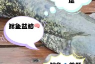 放生2.5万斤外来鲇鱼,请问.一条纯白色,八条须子,类似鲶鱼.是什么鱼?是在水库发现的？