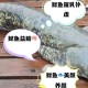 放生2.5万斤外来鲇鱼,请问.一条纯白色,八条须子,类似鲶鱼.是什么鱼?是在水库发现的？