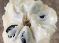新鲜的荔枝长这样,新鲜荔枝是透明还是白色？