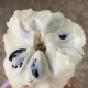 新鲜的荔枝长这样,新鲜荔枝是透明还是白色？