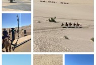 敦煌鸣沙山又堵骆驼,鸣沙山骑骆驼从哪个门进？