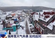 日本强降雪已致14死,日本强降雪地区