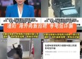 设假大使馆诈骗被抓,设假大使馆诈骗被抓怎么处理