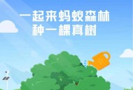 马云现身蚂蚁森林,马云为什么建造蚂蚁森林？