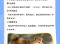 解除禁养中华田园犬,中华田园犬被取消禁养了吗？