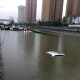 北京洪水又来了,北京洪水泄到哪里去了？