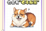 猫也会得痴呆症,不是每一只柴犬都有猫咪陪伴的，如何预防狗狗老年痴呆？
