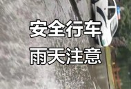 暴雨后开车像开船,武汉暴雨开启看海模式：开车如开船，金融港出动铲车载人通行, 你怎么看？