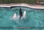 俄男子悬崖跳水身亡,俄罗斯民歌悬崖歌词歌词？