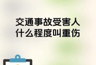 玩免费项目颅骨骨折,交通事故造成颅骨骨折算轻伤害吗？