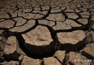 巴黎赢了球烧了城,巴黎一个地方被烧了？作为中国人你怎么看？听说要全球组织捐款了？
