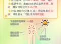 中暑的先兆症状,中暑的先兆症状不包括下列哪一项
