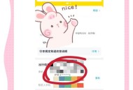 误填拼音致机票作废,用护照订机票用中文名字还是拼音？