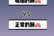 吸烟如何摧毁你的肺,怎么看出吸烟有没有过肺？哪种吸烟方式危害更大？