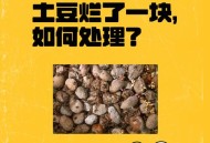 村民哄抢承包地土豆,种过半夏的土地，种洋芋有毒吗？